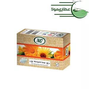 صابون همیشه بهار ان جی