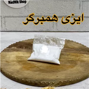 ایزی همبرگر بسته پنجاه گرمی