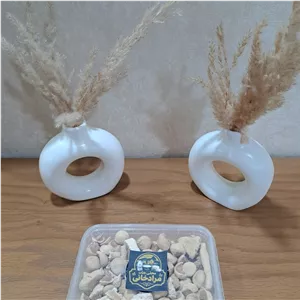 کشک خانگی 