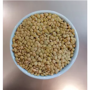 عدس سبز مرغوب