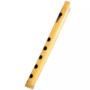 1 نی مدل az29 2501