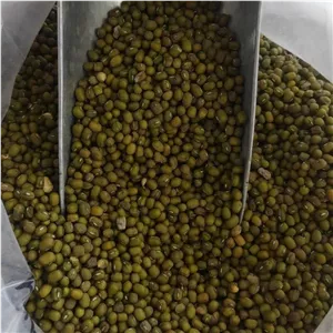ماش باکیفیت 