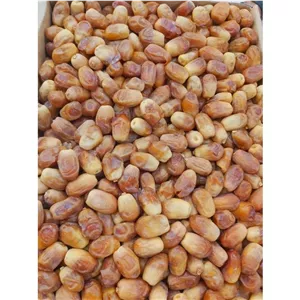 خرما زاهدی