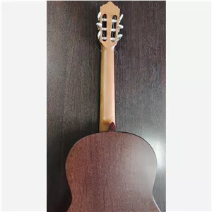 گیتار کلاسیک حرفه ای
