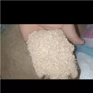 سبوس گندم 