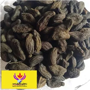 هلیله سیاه 500 گرم مشرق زمین