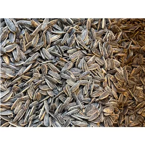 تخمه کانادایی بو داده در طعم های مختلف 1000 گرمی