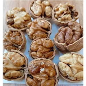 گردو تازه امسالی 2000گرمی 