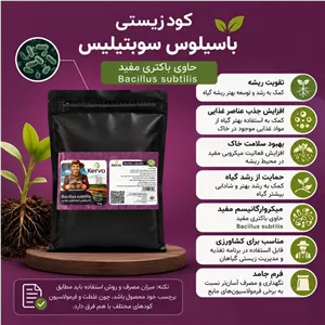 کود زیستی جامد با سیلوستر سوتیلس