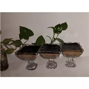 پودینگ نسکافه ای