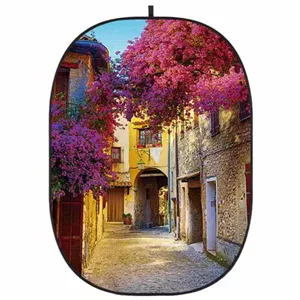 فون بک گراند گودکس Godox CBA-CS0001 Collapsible Background