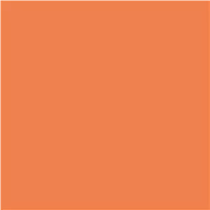 فون کاغذی Savage Widetone Seamless #24 Orange