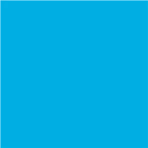 فون کاغذی Savage Widetone Seamless #31 Blue Jay