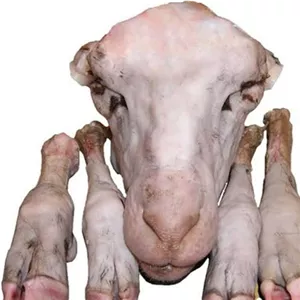 کله پاچه پاک کرده 