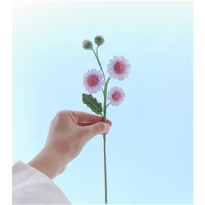 گل بابونه بافتنی و غنچه بابونه