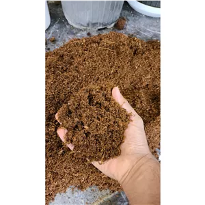 کوکوپیت درجه یک سریلانکا
