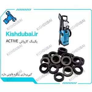 پکینگ کارواش ACTIVE