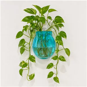 گلدان دیواری شیشه ای آبی آسمانی