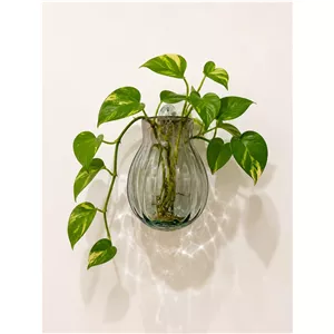 گلدان دیواری شیشه ای دودی