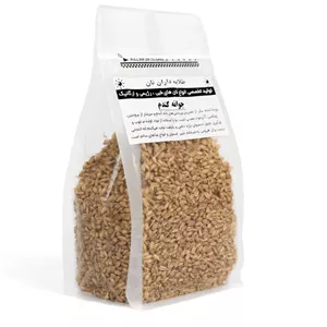 جوانه گندم طلایه داران 500گرمی (ارگانیک)