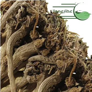 ریشه کاسنی