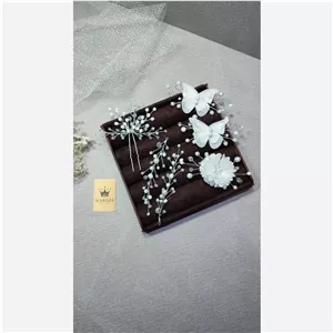 گیره پروانه ای 