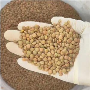 عدس پلویی درجه یک پاک کرده 1 کیلوگرمی 