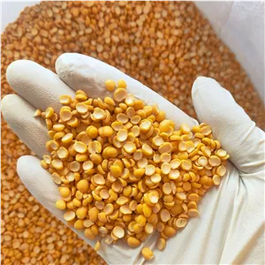 لپه درجه یک تبریزی آذرشهر 250 گرمی 