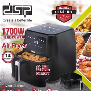 سرخکن dsp 2066