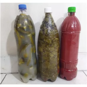 خیار شور خانگی و ارگانیک نهاوند