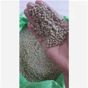 عدس محلی درجه یک 10 کیلویی ( عمده)