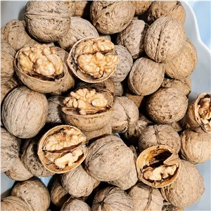 گردو پوست کاغذی تضمینی سفید یک کیلو گرمی