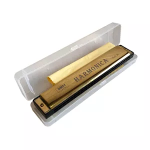 ساز دهنی هارمونیکا DMTS دیاتونیک 24 سوراخ آموزشی 15039