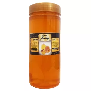 عسل گیاهان کوهستانی جالینوس - 1 کیلوگرم