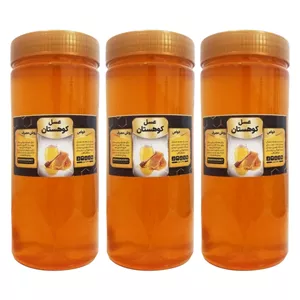 عسل گیاهان کوهستانی جالینوس - 1 کیلوگرم بسته سه عددی