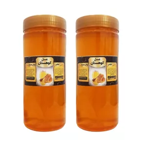عسل گیاهان کوهستانی جالینوس - 1 کیلوگرم بسته دو عددی