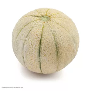 طالبی کوچک Fresh مقدار 1 تا 1.5 کیلوگرم