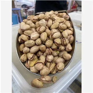 پسته فندقی نو درجه یک