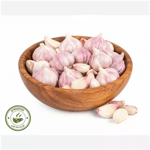 سیر خشک ارگانیک 500 گرمی (پس کرایه)