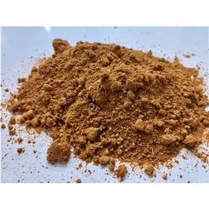 پودر گوجه خالص 100 گرمی