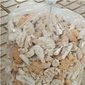 کشک گوسفندی