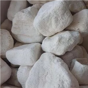 کشک گوسفندی 