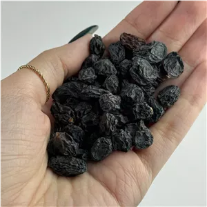 مویز سیاه بدون هسته سایز ریز یک کیلو