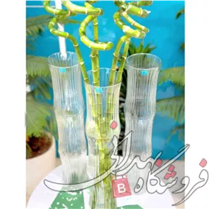 گلدان شیشه ای طرح بامبو خطی 40 سانت