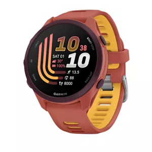 ساعت هوشمند 43 میلیمتری گارمین مدل Forerunner 170 Music با بند سیلیکونی
