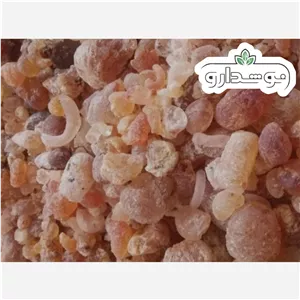 زدو (ضدو یا صمغ بادام کوهی یا انگوم) 1 کیلویی (پسکرایه)