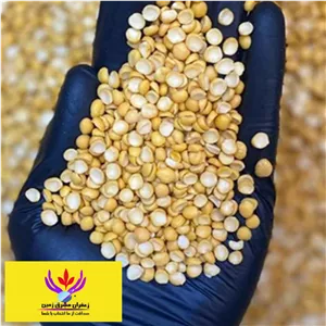 لپه ریز خوش پخت 100 گرم مشرق زمین