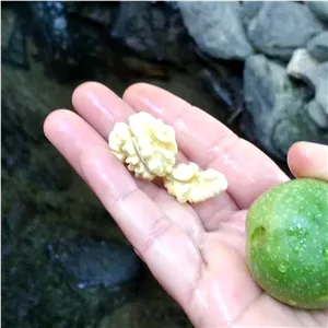 گردوی سبز تازه خوری