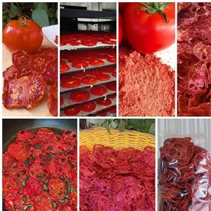 اسلایس و پودرمحلی گوجه ممتاز