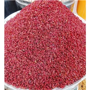 زرشک معمولی خراسان خوشرنگ و تمیز 
